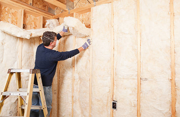 Best Basement Insulation  in Destrehan, LA