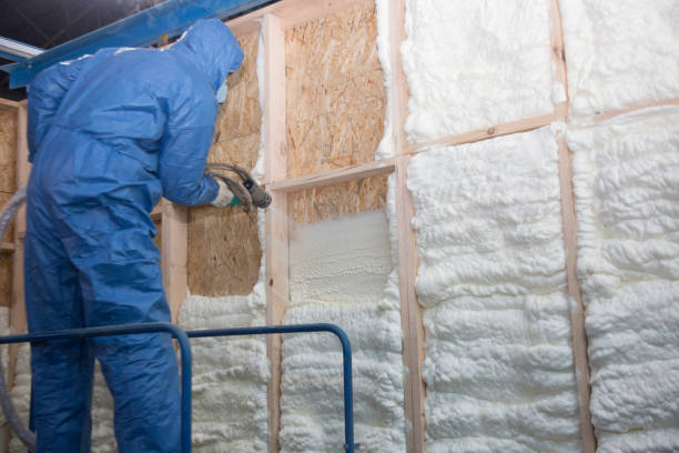 Best Attic Insulation Installation  in Destrehan, LA